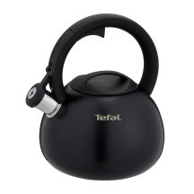 TEFAL N4180410 non-electric kettle