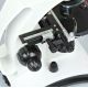 6. Delta Optical BioLight 300 microscope