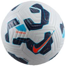Nike Academy FZ2966-100 football