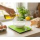 9. Esperanza Lemon EKS002G kitchen scale (green)