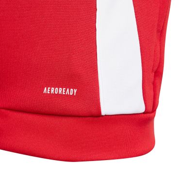 9. Adidas Tiro 24 Training Jr IR7502 sweatshirt