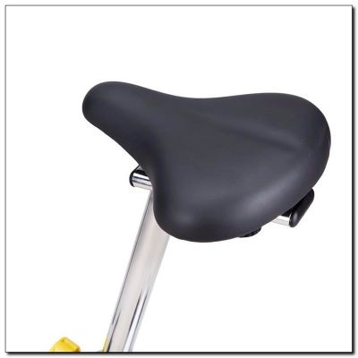 24. HMS M6993 Magnetic Bike