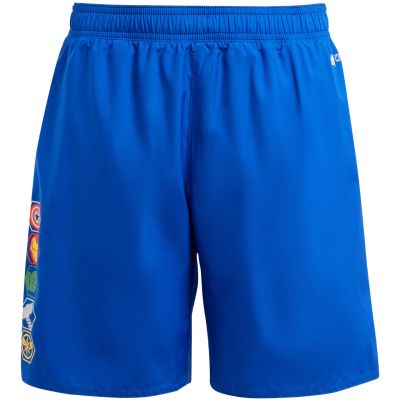 6. adidas x Marvel's Avengers Jr Swim Shorts IT8616
