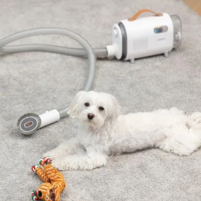 18. MPM MOD-1000 device for home care of dogs and cats