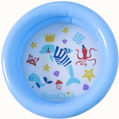 4. CHILDREN'S POOL 2-RING 76x20CM 57157 BLUE