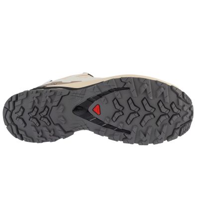 4. Salomon XA Pro 3D v9 GTX W L47817600 Beige 36 2/3