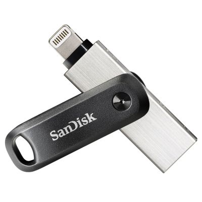 5. SanDisk iXpand GO SDIX60N-256G-GN6NE pendrive (256GB; Lightning, USB 3.0; silver color)