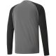 10. Puma teamPacer GK LS goalkeeper sweatshirt M 704933 43