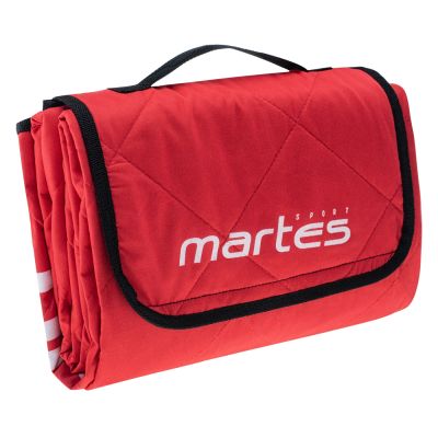 4. Picnic Blanket BLANKET MS