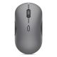 Lenovo 700 Multi-Device Wireless Silent Mouse (Luna Gray)