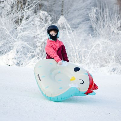 38. Meteor Owl Snow Slide 16765