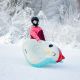 38. Meteor Owl Snow Slide 16765