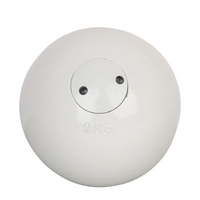 2. 2 kg ball