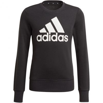 Adidas Essentials Big Logo Jr GP0040 sweatshirt