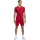12. adidas Tiro 23 League M IB8082 shorts