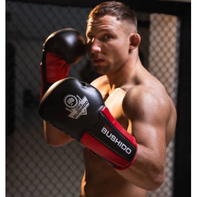 3. 12oz Boxing Gloves - Phantom Red - Valor Series