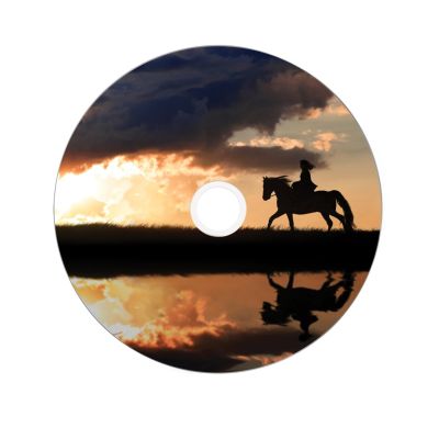 4. DVD Verbatim 43667 (8.5GB; 8x; 25pcs; Cake)