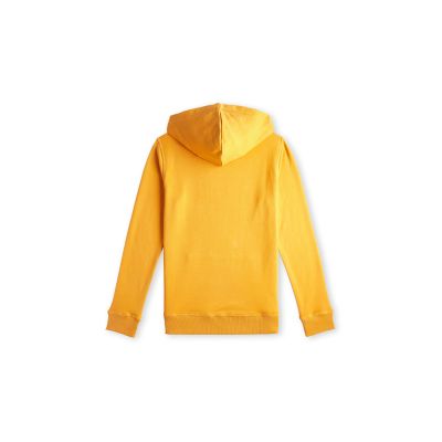 2. O'Neill Logo Hoodie Jr 92800615006