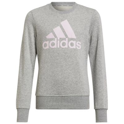 6. Adidas Big Logo Swt Jr HM8706 sweatshirt
