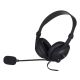 3. HEADPHONES WITH MICROPHONE I-BOX W1MV