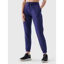 Women's jogger sweatpants 4F 4FWMM00TTROF1138-31S