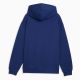 2. Puma Manchester City Hoodie 786288-21