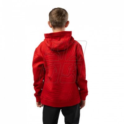 2. Bauer Graphic Stripe Hoody Jr 1062303