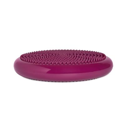 18. Tiguar stabilizing disc (air disc) DR-GT0001
