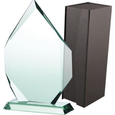 3. Glass trophy with case