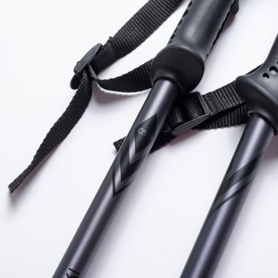 3. ALPINE SKI II poles