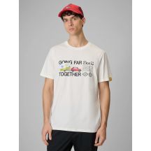 Men's regular printed T-shirt 4F 4FRSS26TTSHM3810-11S