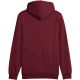 4. Puma ESS Small No.1 Logo Hoodie FL M 682575 96