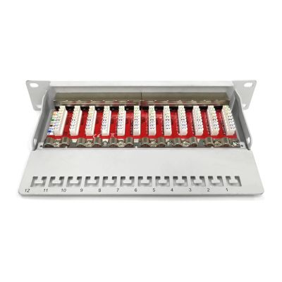 11. Digitus Patch Panel 10'' 12x RJ45, LSA level, cat.6A, shielded, 1U, gray, cable guide