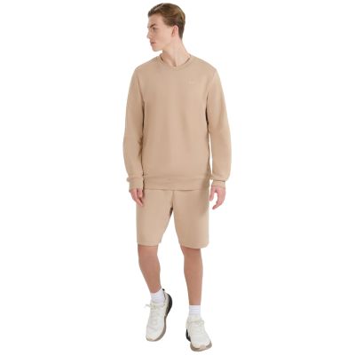 11. Sweatshirt 4F M1622 M 4FWSS25TSWSM1622 83S