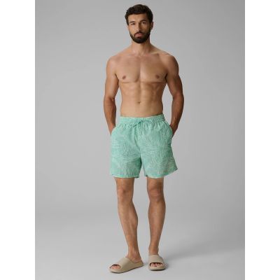 Men's boardshorts 4F 4FRSS26UBDSM260-90A