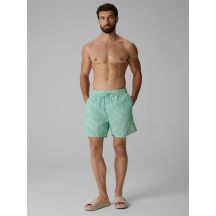 Men's boardshorts 4F 4FRSS26UBDSM260-90A