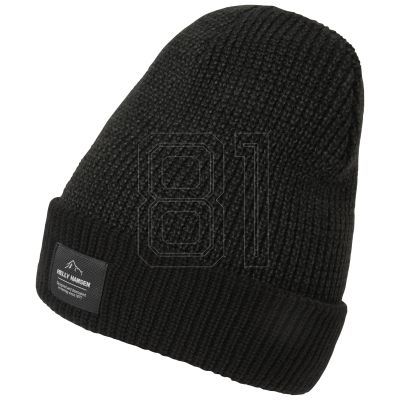 2. Helly Hansen Logo Cuff Beanie 67452 991
