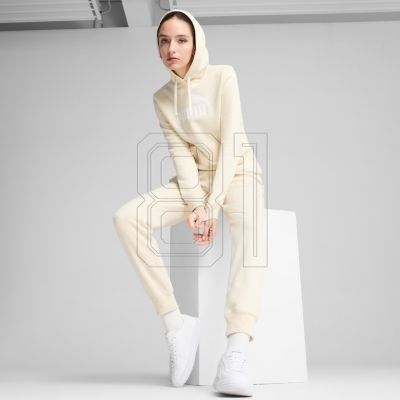6. Puma ESS No.1 Logo Hoodie FL W 682389 87