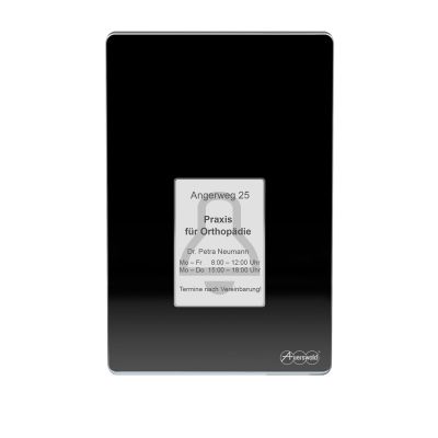 2. Auerswald TFS-Dialog 400 Access Control Terminal
