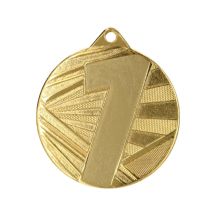 Gold Medal, 1st Place