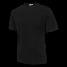 Men's short-sleeved T-shirt FANKY