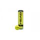 Head Team Tennis Balls 3 pcs