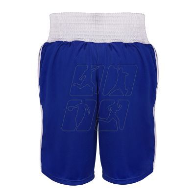 3. Adidas ADIBTS02 boxing shorts