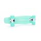 9. Tempish Buffy Nature 1060000785 skateboard