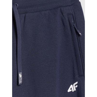 9. Men's jogger sweatpants 4F 4FRMM00TTROM1624-31S