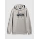 8. Men's regular hooded sweatshirt 4F 4FRSS26TSWSM2801-27S