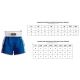 3. Kick Light Training Shorts MASTERS (WAKO APPROVED)