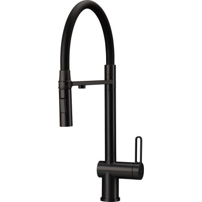 Kitchen faucet with connection to a water filter and a flexible spout