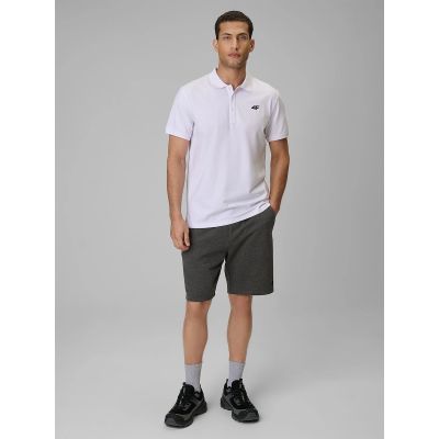 4. Men's regular polo shirt 4F 4FRMM00TPTSM0939-10S