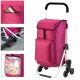 13. Expert Premium 604353 Shopping Cart